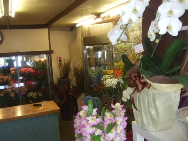 「ローズガーデン」　（長野県長野市）の花屋店舗写真2